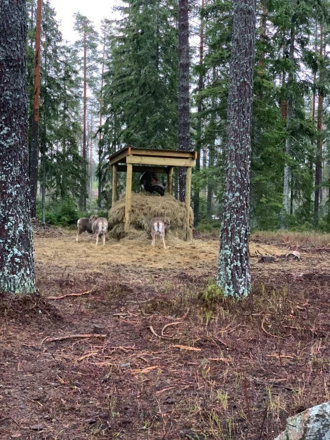 Cozy House In Kosta Center Surrounding With Swedish Nature Luaran gambar